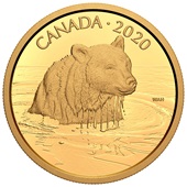 Gold 35 g - Canadian Wildlife - Grizzlybär 2020 - PP