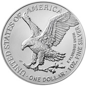 Silber American Eagle 1 oz - 2022