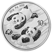 Silber China Panda 30 g - 2022