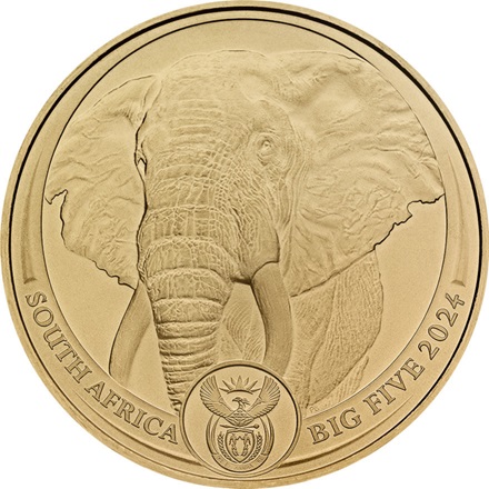 Gold Elefant 1 oz - Big Five 2024